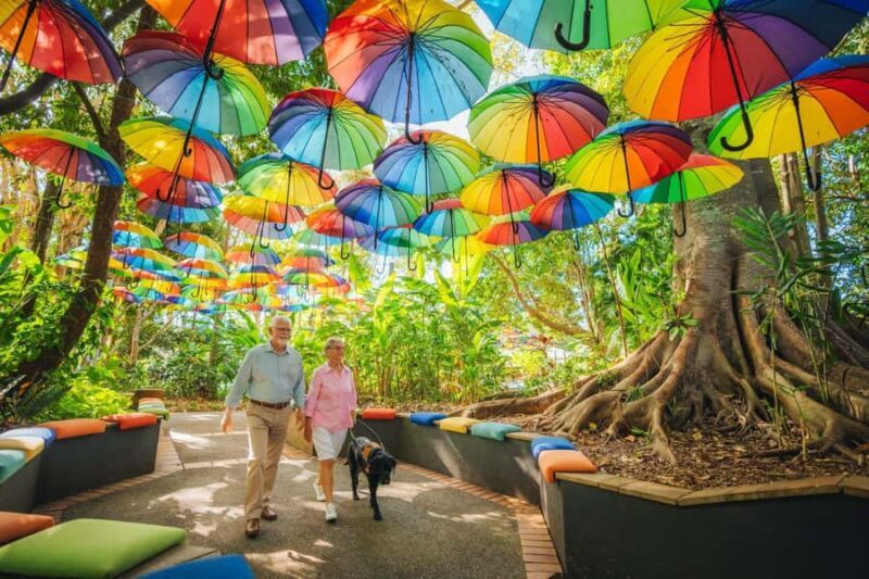 Sunshine Coast Hinterland Private Tour from Brisbane - Key Points