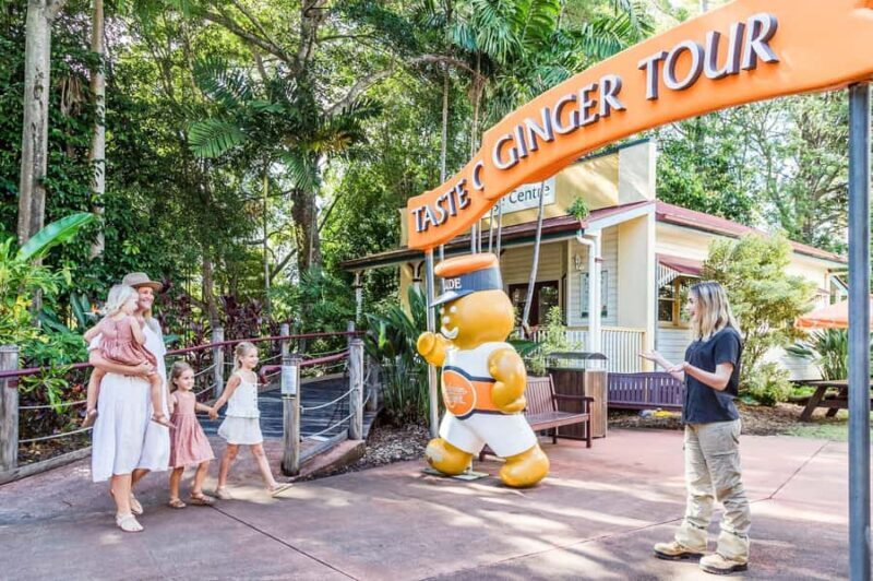 Sunshine Coast Hinterland Private Tour from Brisbane - Transport, Duration, and Value