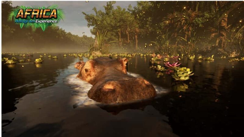 Sunshine Coast: Hologram Zoo Africa Adventure - Who Will Love This Experience?