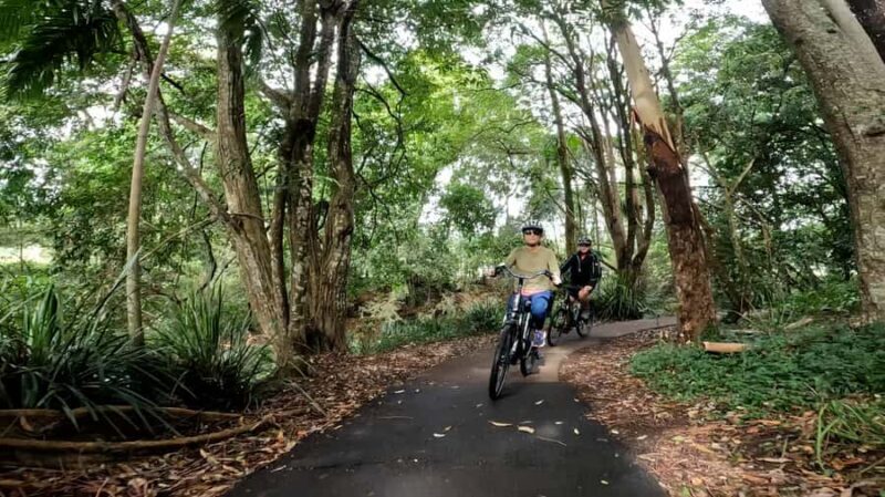 Sunshine Coast: Maleny Magic Guided e-Bike Tour - Who Should Consider This Tour?