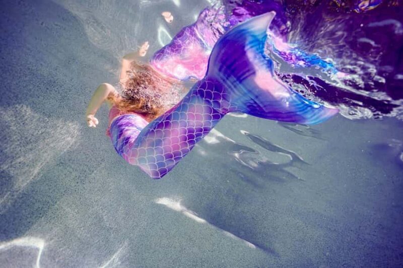 Sunshine Coast: Mermaid Swim Experience - Key Points