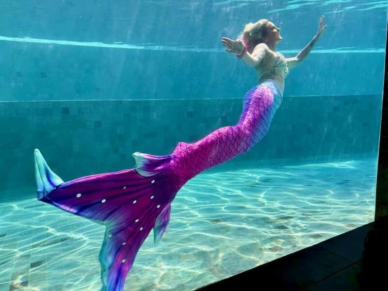 Sunshine Coast: Mermaid Swim Experience - Why This Tour is Worth Considering