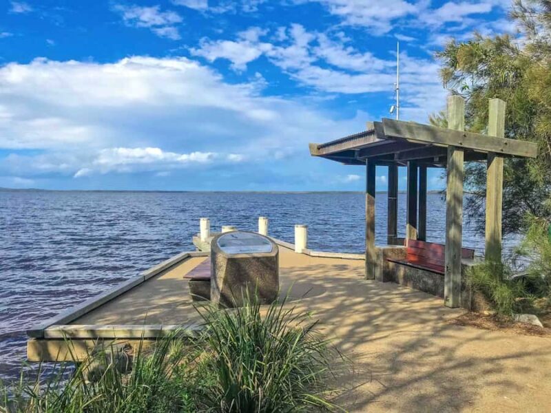 Sunshine Coast: Noosa Everglades, Hinterland & Boat Cruise - The Highlight: Noosa Everglades Eco Boat Cruise