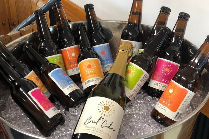 Sunshine Coast & Noosa Private Wine Tour Inc. Lunch & Tastings - An In-Depth Look at the Itinerary