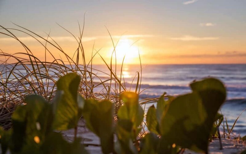 Sunshine Coast: Private Customizable Day Tour - Exploring the Sunshine Coast: What You Can Expect