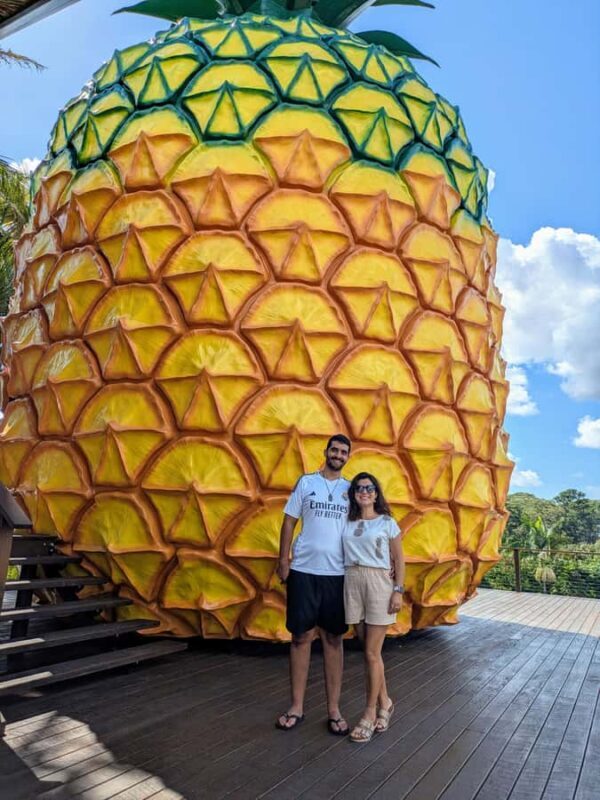 Sunshine Coast: Private Customizable Day Tour - Who Will Love This Tour?