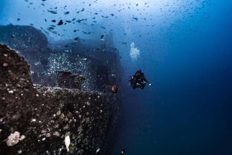 Sunshine Coast: Scuba Dive the Ex-HMAS Brisbane Ship Wreck - The Experience in Detail