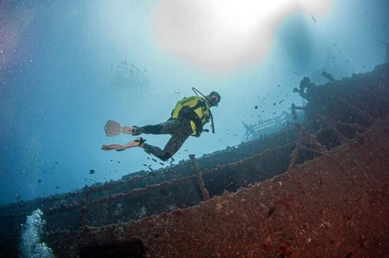 Sunshine Coast: Scuba Dive the Ex-HMAS Brisbane Ship Wreck - Who Is This Experience Best For?