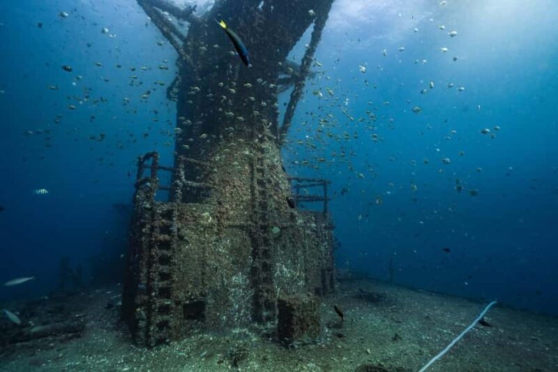 Sunshine Coast: Scuba Dive the Ex-HMAS Brisbane Ship Wreck - The Sum Up