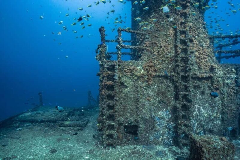 Sunshine Coast: Scuba Dive the Ex-HMAS Brisbane Ship Wreck - FAQs