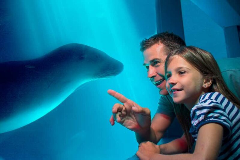 Sunshine Coast: SEA LIFE Sunshine Coast Entry Ticket - Key Points