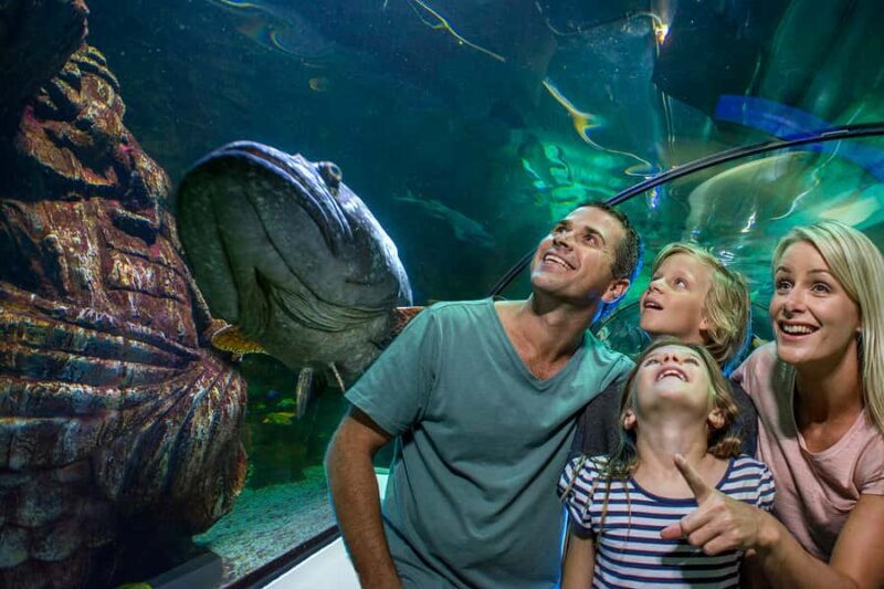 Sunshine Coast: SEA LIFE Sunshine Coast Entry Ticket - The Size, Comfort, and Practicalities