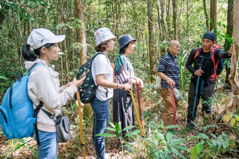 Suoi Tien 1-Day Trekking: Phu Quoc Excursion - Who Will Love This Experience?