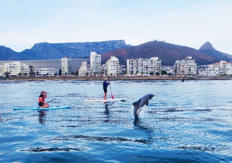 SUP Ocean Tour - Key Points