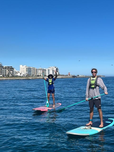 SUP Ocean Tour - Exploring the Details of the SUP Ocean Tour