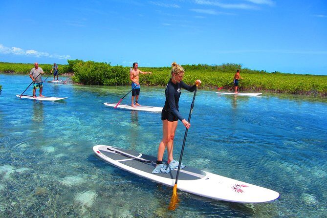 SUP Paddleboard Lesson and Tour - Port Canaveral & Cocoa Beach - The Experience: What to Expect from the SUP Paddleboard Tour