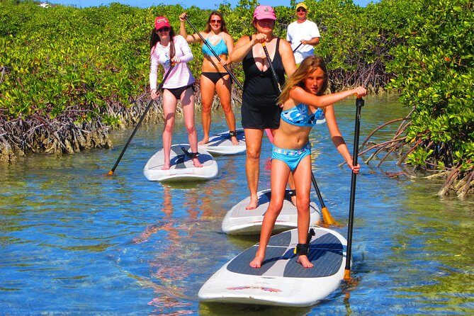 SUP Paddleboard Lesson and Tour - Port Canaveral & Cocoa Beach - Final Thoughts: Who Will Enjoy This Tour?