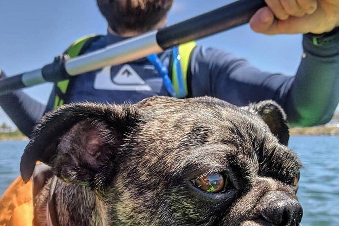 SUP Rental - In-Depth Review of the SUP Rental Experience