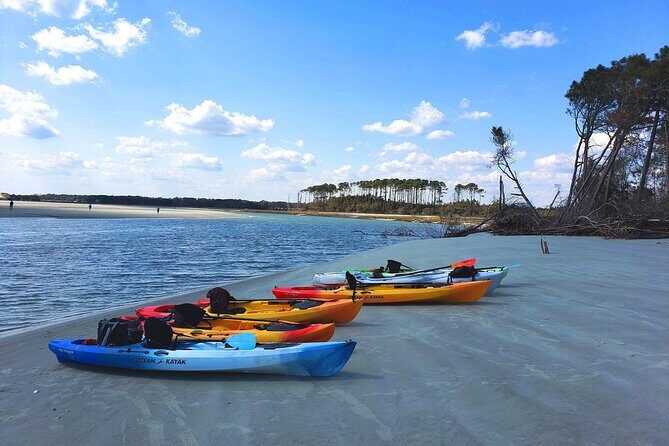 SUP (stand-up paddboard) Salt Marsh Maze Tour - Who Should Consider This Tour?