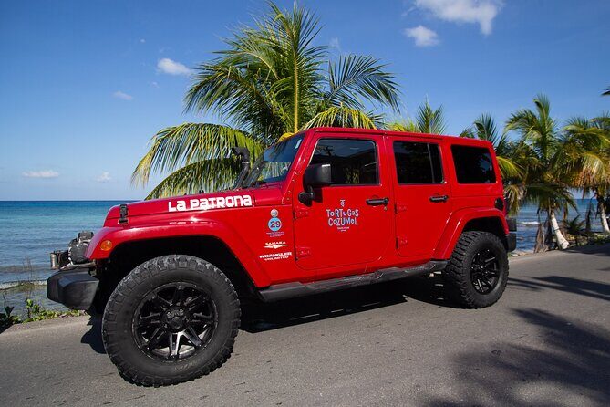 Super Cozumel Combo Snorkel by Boat and Jeep Exploration (Private) - Final Thoughts