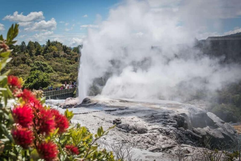 SUPER DEAL: Ruakuri Caves, Te Puia Rotorua & Blue Springs - The Sum Up: Who Should Consider This Tour?