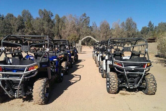 Super Moto Safari from Sharm E Sheikh with Excursions.VIP - Authenticity and Reviewer Insights