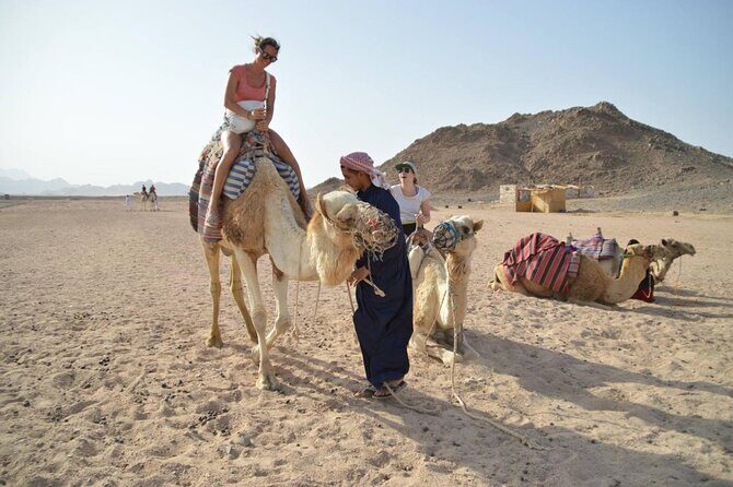 Super Safari 5In1quad Camel Ride Dinner African Nubian show star gazing in sharm - An In-Depth Look at the Tour