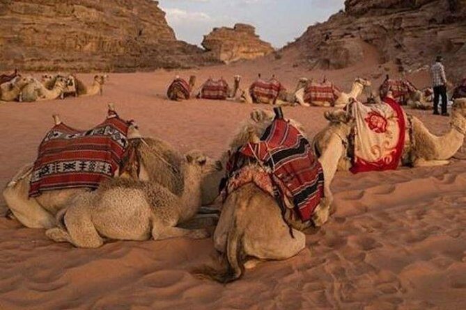 Super Safari Hurghada - An Honest Look at the Super Safari Hurghada Tour