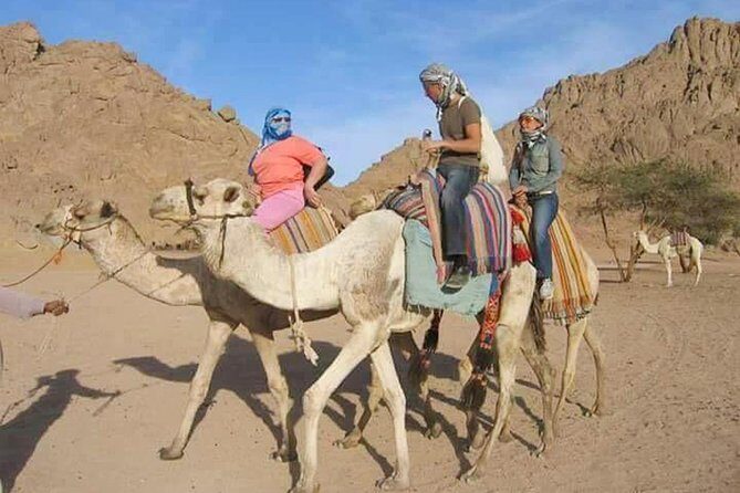 Super Safari Quad Bike, Camel Ride & Bedouin Diner in hurghada - The Value and Overall Impression