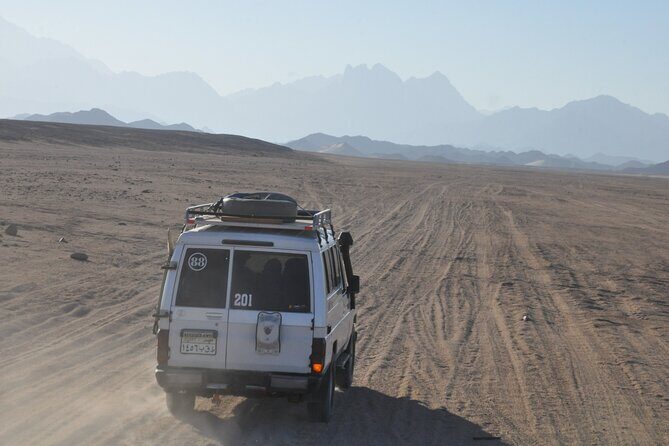 Super Safari Quad Bike Jeep Safari Buggy and Dinner in Hurghada - Key Points