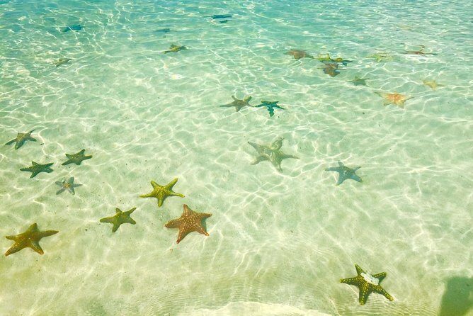 Super Zanzi, Nakupenda, Prison Island & Stone Town - Zanzibar - FAQ