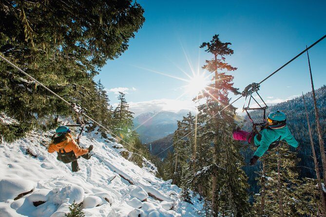 Superfly Ziplines on Cougar Mountain - includes 4 ziplines! - Authentic Feedback from Reviewers