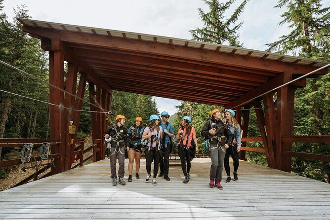 Superfly Ziplines on Cougar Mountain - includes 4 ziplines! - Who Would Love This Tour?