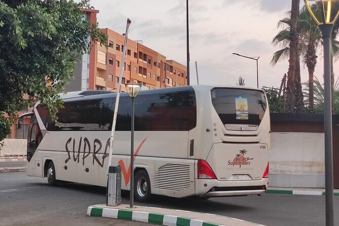 Supratour Bus Tickets Marrakech to Essaouira - Round-Trip Considerations