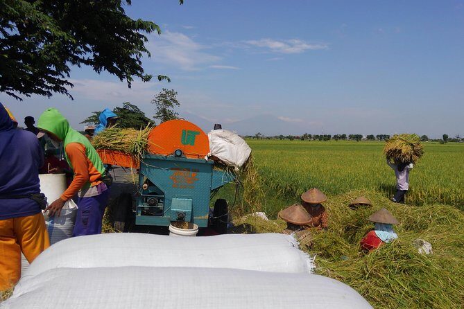Surakarta Village cycling tour - The Itinerary in Detail