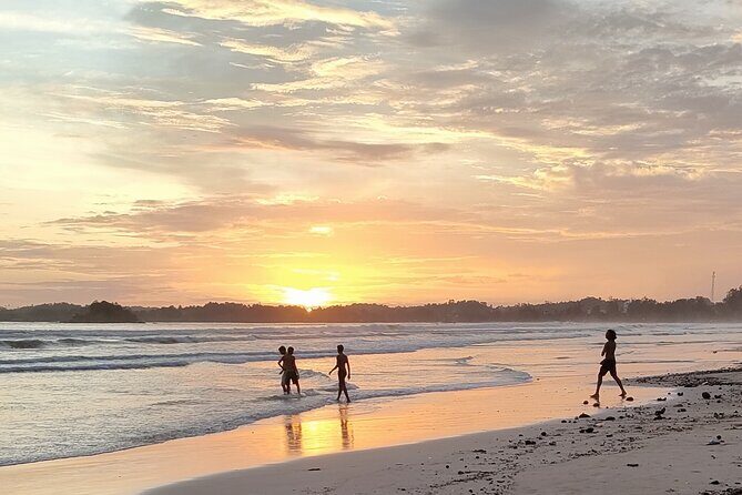 Surf Camp in Weligama Beach Sri Lanka - Key Points