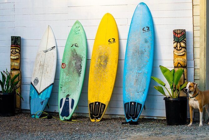 Surfboard Rental All Day Solana Beach Fletchers Cove - The Practical Details of the Rental