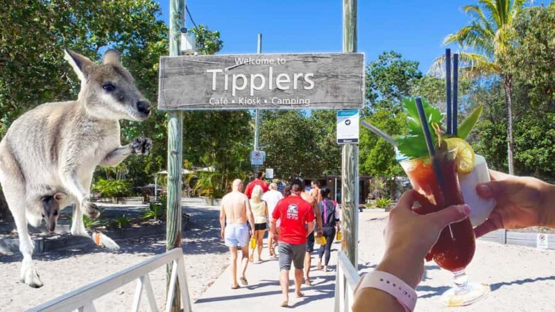 Surfers Paradise: 2 Hour Tropical Island Jet Ski Tour - The Experience in Detail