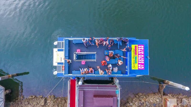 Surfers Paradise: Gold Coast Afternoon River Cruise - Who Should Consider This Tour?
