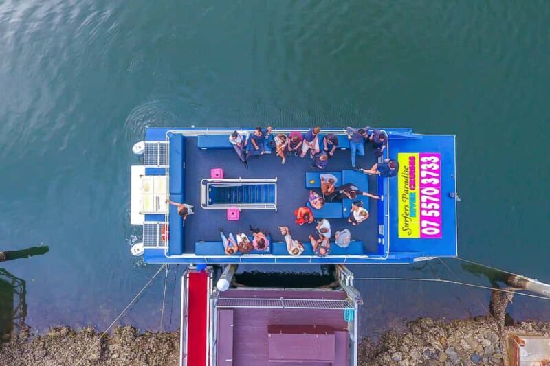Surfers Paradise: Sightseeing Morning River and Canal Cruise - Who Would Love This Cruise?
