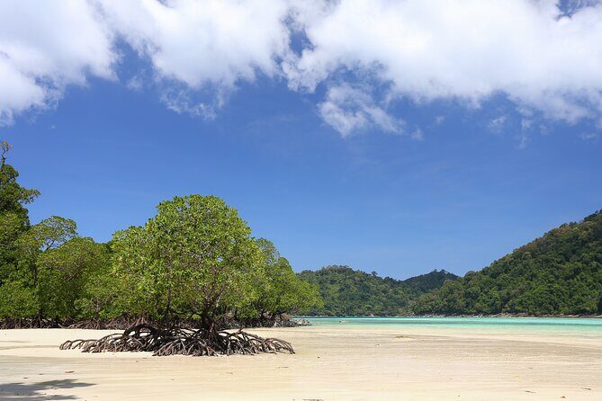 Surin Islands 2 Days 1 Night Trip from Phuket - What Travelers Are Saying