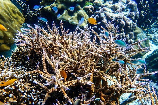 Surin Islands Overnight Beach Camping and Snorkeling Adventure - Final Thoughts