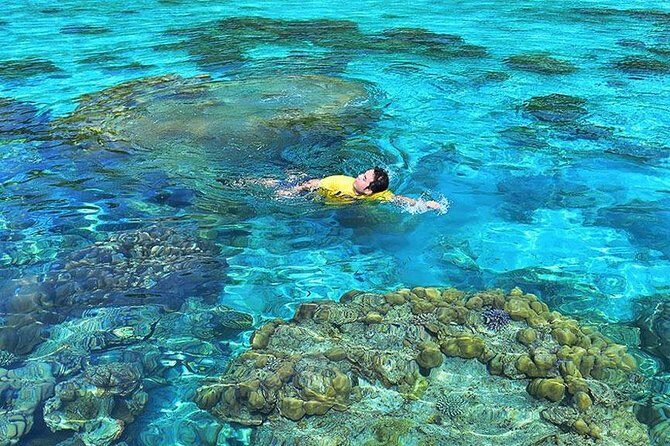 Surin Islands Snorkeling Day Trip By Love Andaman From Khao Lak - Meals & Amenities