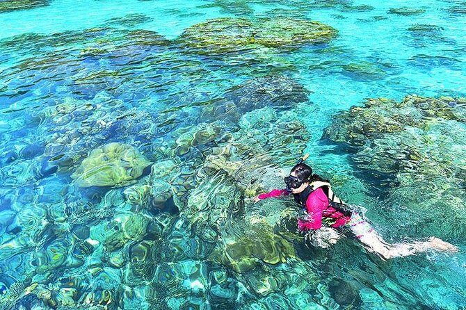 Surin Islands Snorkeling Day Trip By Love Andaman From Khao Lak - Cancellation & Weather Policies
