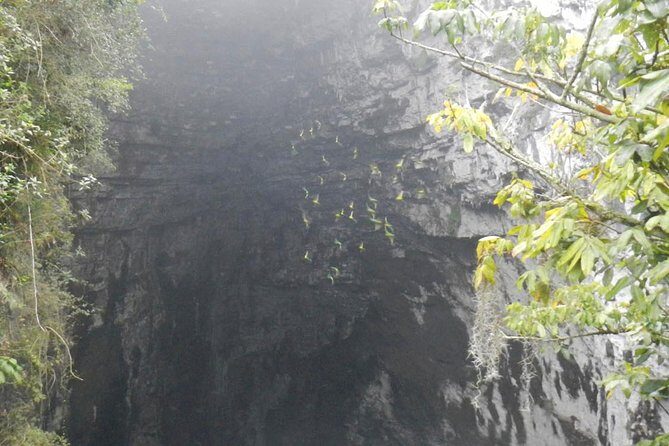Surrealist Garden Tour in Xilitla and Sotano de las Huahuas - Who Should Book This Tour?