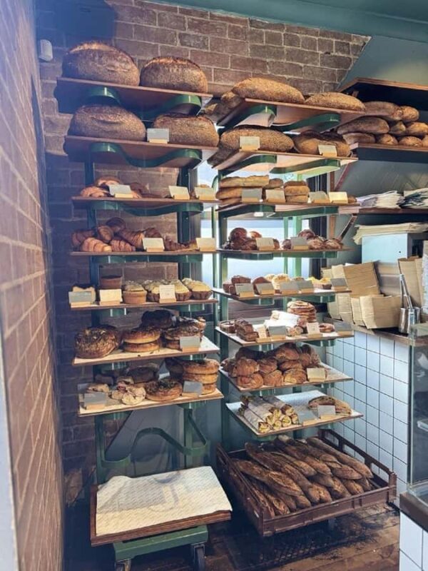 Sustainable Sydney Tours - eco conscious collective Newtown - A Deep Dive into the Experience