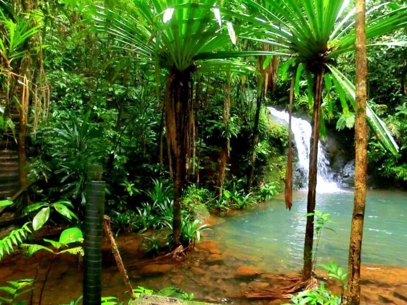 Suva: Fijian Nature and Waterfall Tour - Arriving at the Nature Reserve