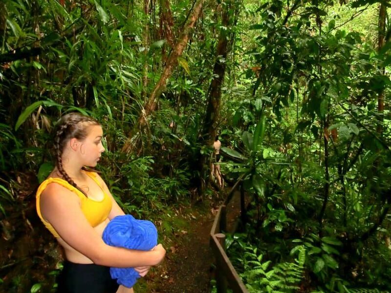 Suva: Fijian Nature and Waterfall Tour - The Jungle Trek and Flora