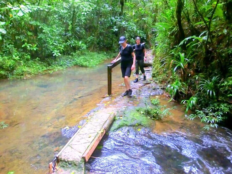 Suva: Fijian Nature and Waterfall Tour - Return Journey