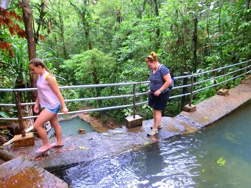 Suva: Fijian Nature and Waterfall Tour - What’s the Price and Is It Good Value?